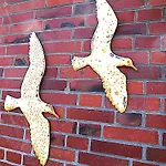 Wohnung Möwe 2